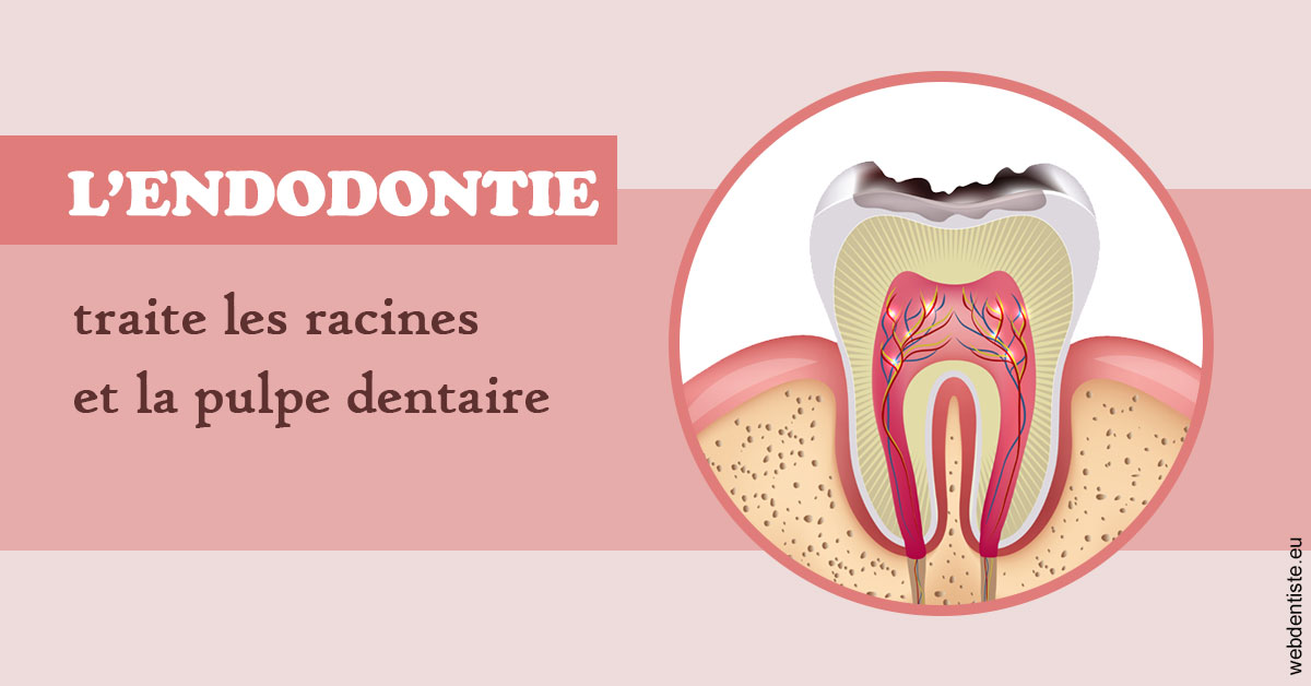 https://dr-marzouk-roland.chirurgiens-dentistes.fr/L'endodontie 2